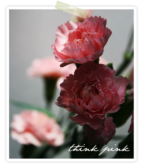 Rosa blommor för en rosa månad
