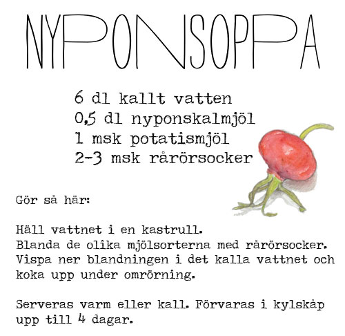 nyponsoppa101